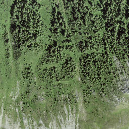 Satellite imagery of Pizzet, CH