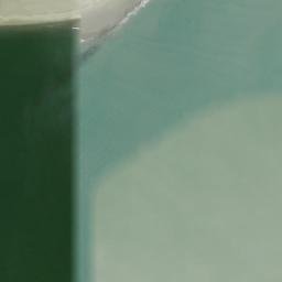 Satellite imagery of Protection Island, US