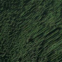 Satellite imagery of Echo Cliffs, US