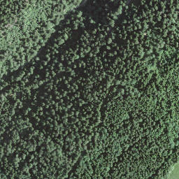 Satellite imagery of BFN142, CH