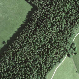 Satellite imagery of BFN142, CH