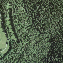 Satellite imagery of Mont de Couvet, CH