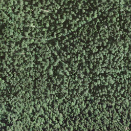 Satellite imagery of Le Dos-d'âne, CH
