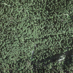 Satellite imagery of Le Dos-d'âne, CH