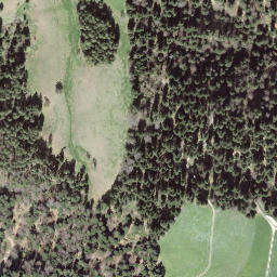 Satellite imagery of Wachtegg, CH