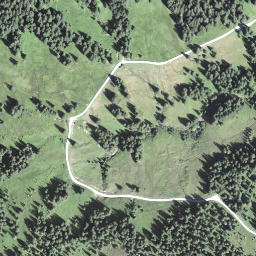 Satellite imagery of Chrüzliegg, CH