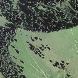 Satellite imagery of Buochserhorn, CH