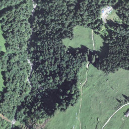 Satellite imagery of Vorder Egenrüti, CH