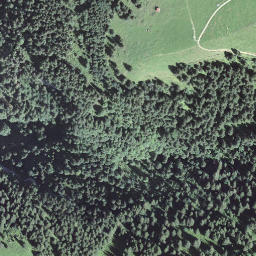 Satellite imagery of Hohbergbüel, CH