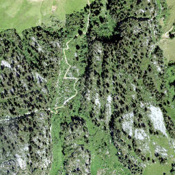 Satellite imagery of Höchi, CH