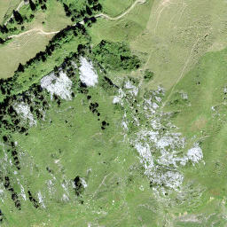 Satellite imagery of Höchi, CH