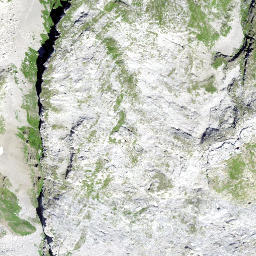 Satellite imagery of Misthufen, CH