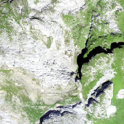 Satellite imagery of Misthufen, CH