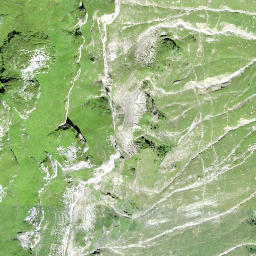 Satellite imagery of Misthufen, CH