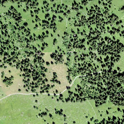 Satellite imagery of Schattenstock, CH