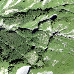 Satellite imagery of Fanenstock, CH