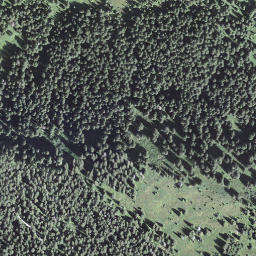 Satellite imagery of Fachsboden, CH