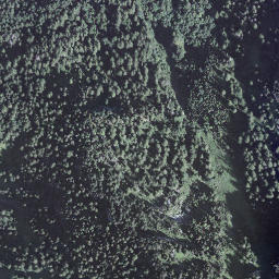 Satellite imagery of Butzenstock, CH