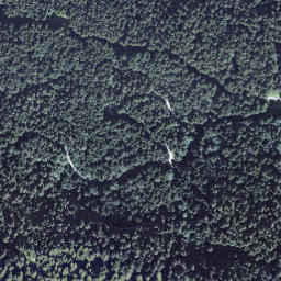 Satellite imagery of Holzerstock, CH