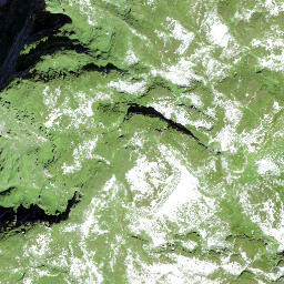 Satellite imagery of Höch Schooss, CH