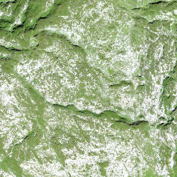 Satellite imagery of Mandlieggen, CH