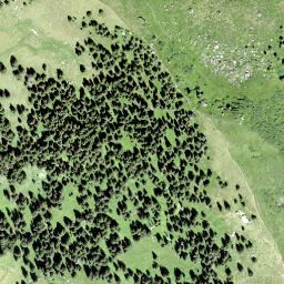 Satellite imagery of Fätschenhorn, CH