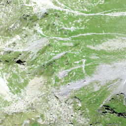 Satellite imagery of Wildmadfurggeli, CH