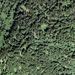 Satellite imagery of Meissenegg, CH