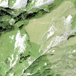 Satellite imagery of Fanenstock, CH