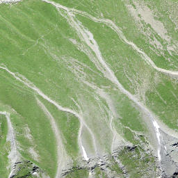 Satellite imagery of Marchegghorn, CH