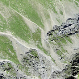 Satellite imagery of Marchegghorn, CH