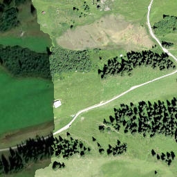Satellite imagery of Schwänzelegg, CH