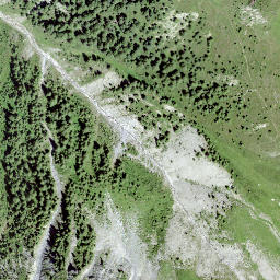 Satellite imagery of Salantinas, CH