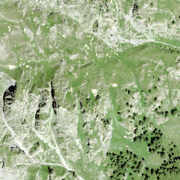 Satellite imagery of Pizzet, CH