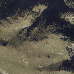 Satellite imagery of Craista Dadaint, CH