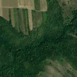 Satellite imagery of Podişul Răducăneni, RO
