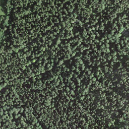 Satellite imagery of borNE-VD.69, IT