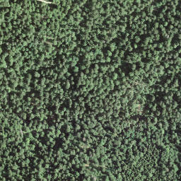 Satellite imagery of borNE-VD.72, IT