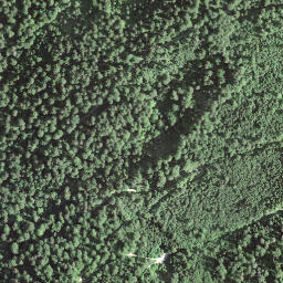 Satellite imagery of Le Dos-d'âne, CH
