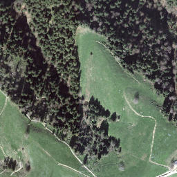 Satellite imagery of Risisegg, CH