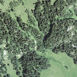 Satellite imagery of Hängst, CH
