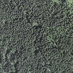 Satellite imagery of Fachsboden, CH