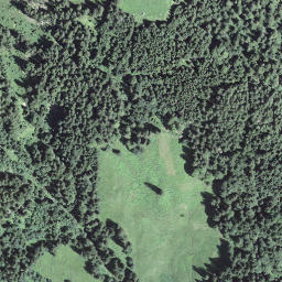 Satellite imagery of Ettlismattgrat, CH
