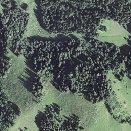 Satellite imagery of Vorder Egenrüti, CH