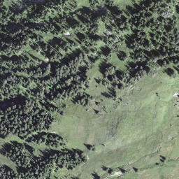 Satellite imagery of Faulberg, CH