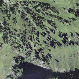 Satellite imagery of Faulberg, CH