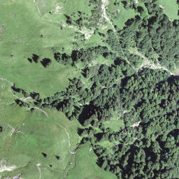 Satellite imagery of Hundschopf, CH