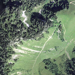 Satellite imagery of Holzerstock, CH