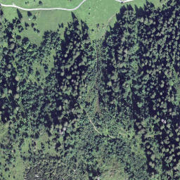 Satellite imagery of Holzegg, CH
