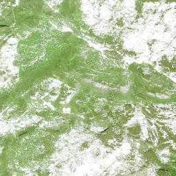Satellite imagery of Höch Schooss, CH